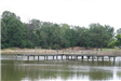 Dock over a Lake