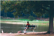 Kids Sitting on a Bench with Geese and Duck