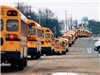 School Buses