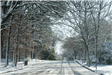 Street in Winter