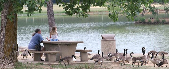Mom and Daughter Surrounded by Geese