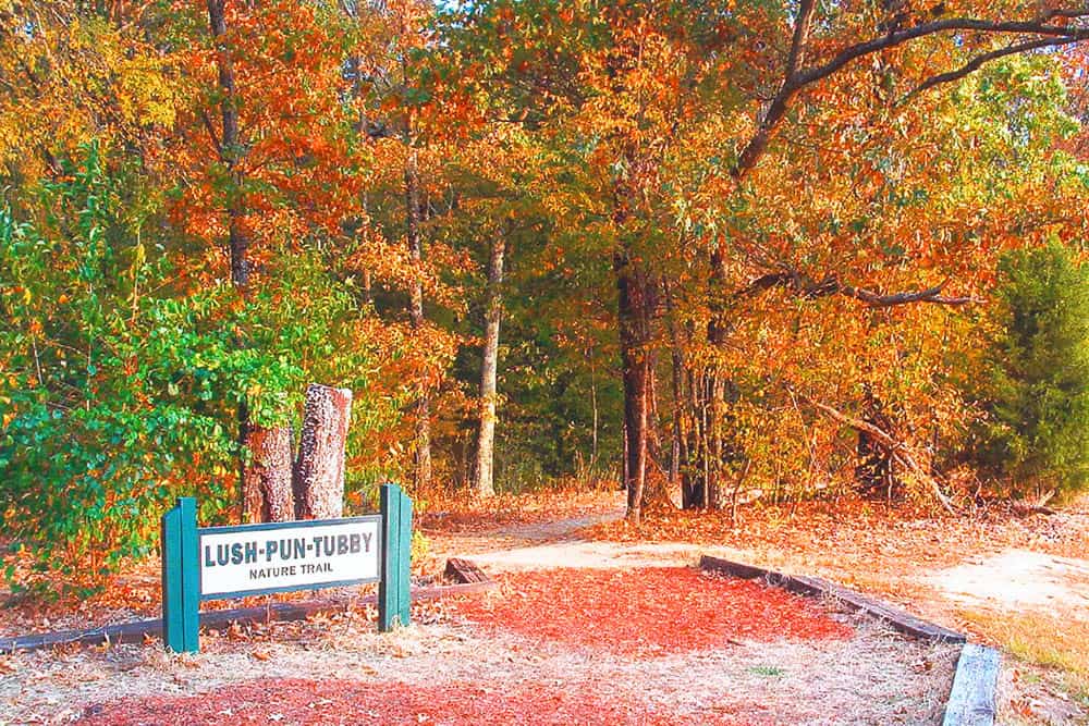 Lush Pun Tubby Nature Trail Sign