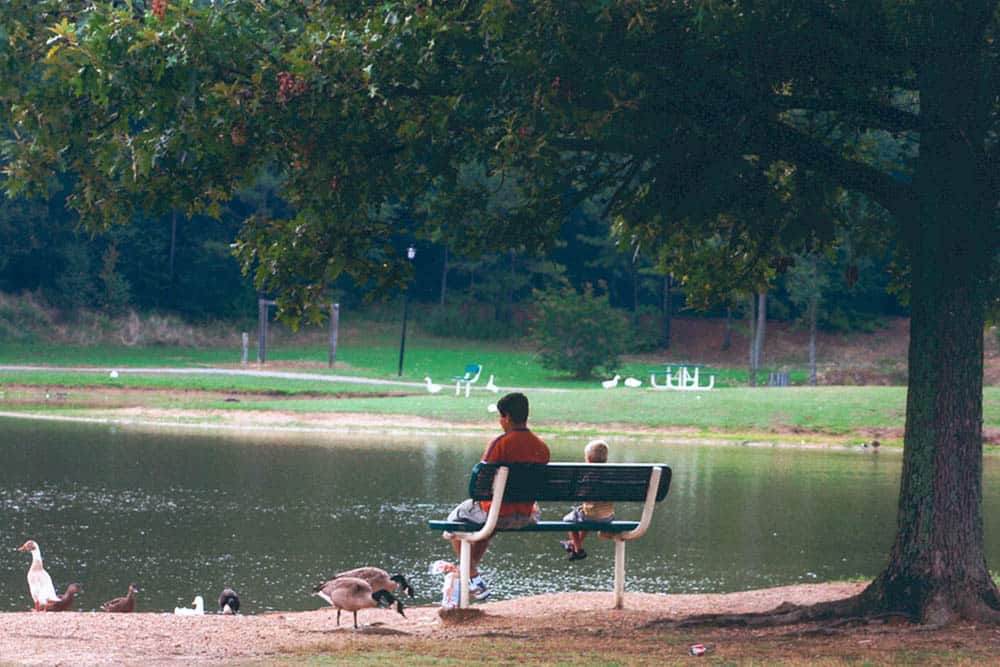 Kids Sitting on a Bench with Geese and Duck