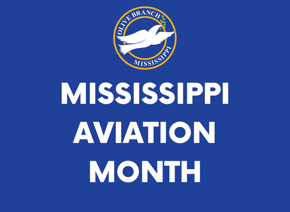 website icons -aviation month