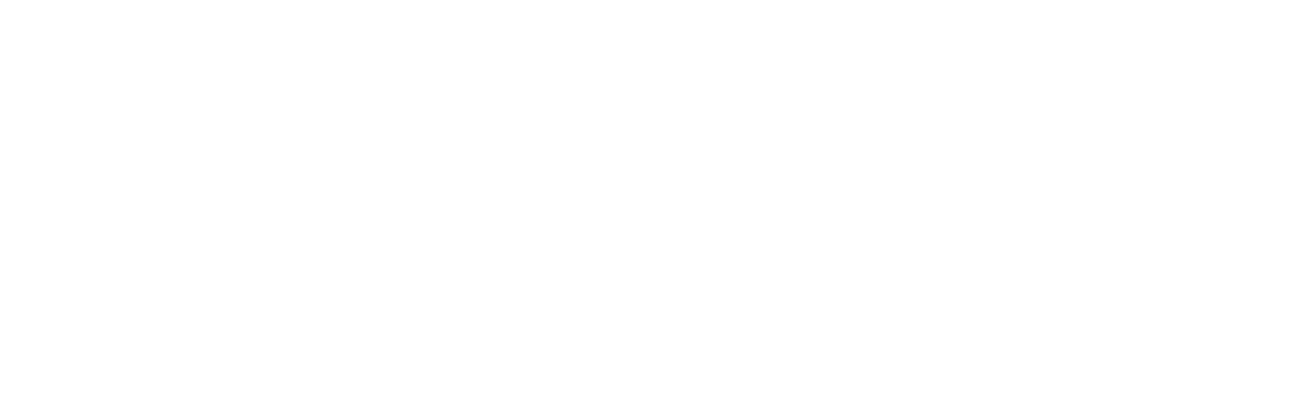 large-Olive Branch Aviation logo white no-address copy