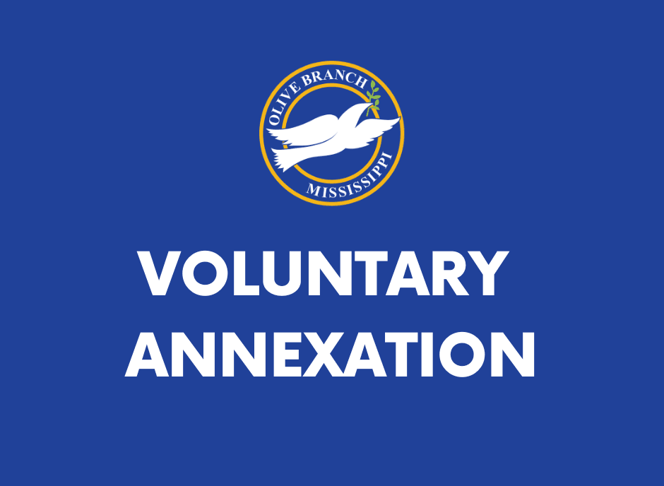 website icons -vol annex